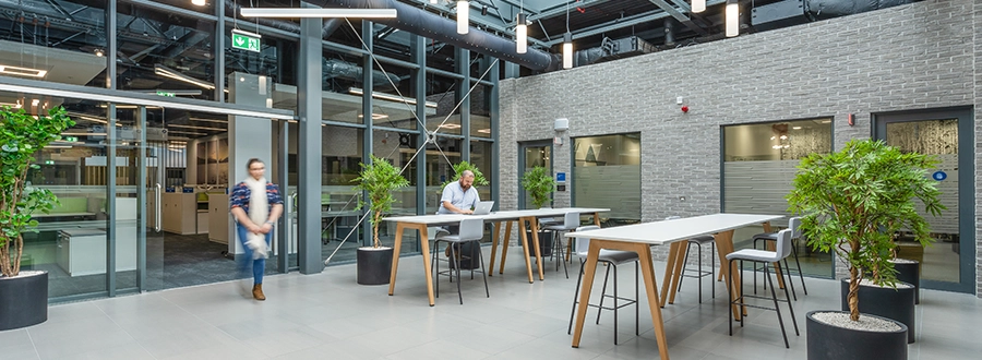 interior of a modern, open, and healthy workspace environment